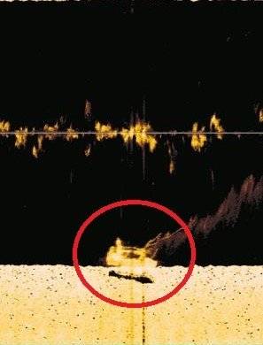 거제바다 침몰 대양호 추정 물체 (거제=연합뉴스) 통영해양경찰이 25일 초음파를 발산해 수중 장애물을 찾는 장치인 소나(SONAR)를 이용해 경남 거제에서 침몰한 대양호로 추정되는 물체를 발견했다고 밝혔다. 대양호는 지난 23일 오후 3시 45분께 거제시 남부면 갈곶도 남동쪽 1.1㎞ 해상에서 침수 후 침몰해 승선원 10명 중 7명이 구조되고 선장 등 3명이 실종됐다. 2021.1.26 [통영해경 제공. 재판매 및 DB 금지] contactje@yna.co.kr