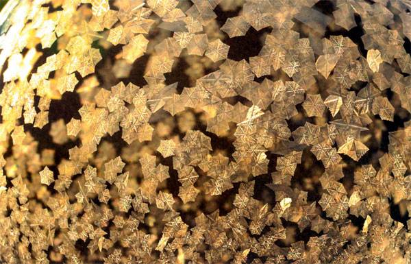 육각형 모양의 결정체들이 얼어붙고 있다.