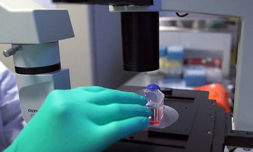 지난 2020년 9월 네덜란드 레이던 소재 존슨앤드존슨 연구소에서 한 연구자가 신종 코로나바이러스 감염증(코로나19) 백신을 연구하는 모습. 뉴시스