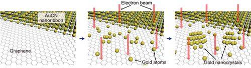 투과전자현미경으로 관찰한 금 나노결정 탄생 과정 그림 [IBS 제공. 재판매 및 DB 금지]