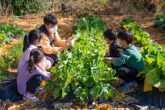 전남지역 작은 학교인 강진군 옴천초등학교 학생들이 텃밭에서 농산물 재배 체험교육을 하고 있다. 사진 전남도교육청