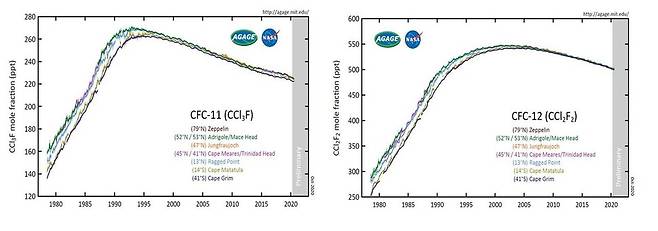 사용이 금지된 1990년대 이후에도 염화불화탄소 11과 12의 농도가 증가하다 수년이 지난 뒤에야 오름세가 꺾였다. 기상청 제공