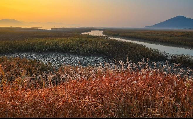 순천만 [전남도 제공·재판매 및 DB 금지]