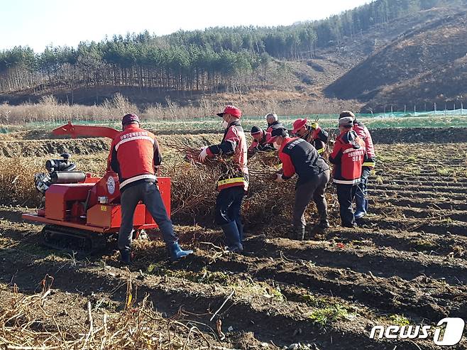 전북 진안군이 1일부터 산불방지 대책본부를 운영한다. 대책반이 영농부산물을 파쇄하고 있다.(진안군제공)2021.2.1/뉴스1