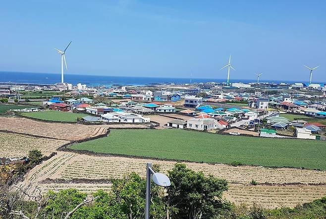 제주 행원리에서는 풍력발전 수익 일부를 주민들에게 배당하고 있다. 김자경 제주대 교수 제공