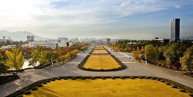 영남대학교 제공