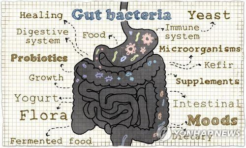 장의 미생물 [게티이미지뱅크 제공 / 재판매 및 DB 금지]