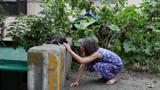 '휭, 추-푸'의 '석광사 근방'이라는 전시장에서 홍이현숙 작가가 고양이와 소통하는 모습이 상영중이다.