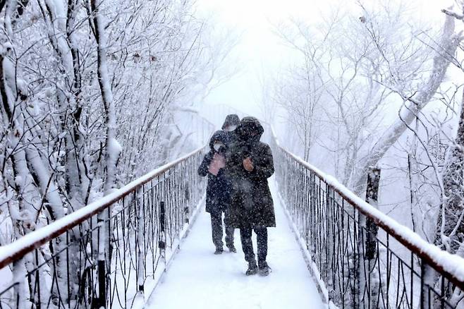 지난달 18일 오후 대설주의보가 발효 중인 강원도 평창 발왕산에서 관광객들이 펑펑 내리는 눈을 맞으며 겨울의 아름다운 경치를 즐기고 있다. /사진=뉴시스