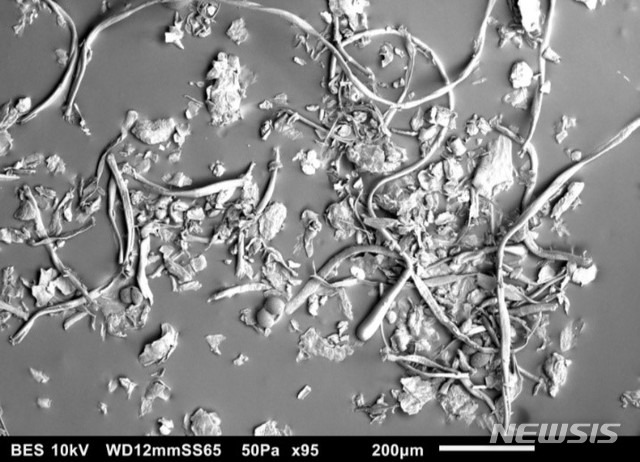 [서울=뉴시스] 현미경으로 관찰한 먼지의 모습. 2021.02.03. (사진=다이슨 제공)
