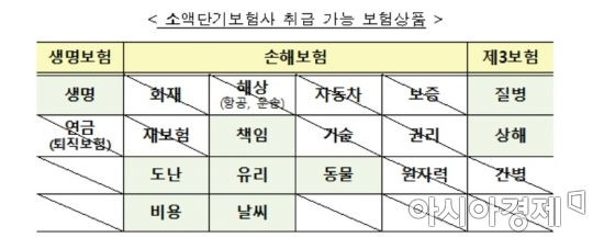 소액단기보험 취급 가능보험상품(자료:금융위원회)