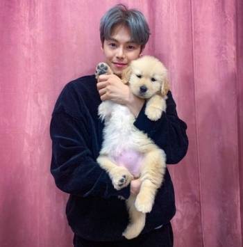 배우 박은석씨와 새끼 강아지(골든 리트리버) 몰리. 리트리버 보호자들은 방송 때문에 키우는 게 유행이 됐다가, 1~2년 후 유기될까봐 걱정하고 있었다./사진=박은석씨 인스타그램