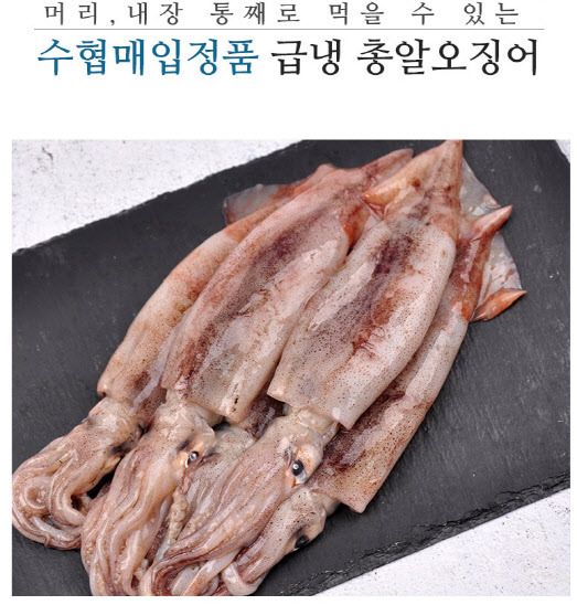 각종 온라인몰에서 수협 인증 제품으로 판매하는 총알오징어.(사진=위메프 캡쳐)