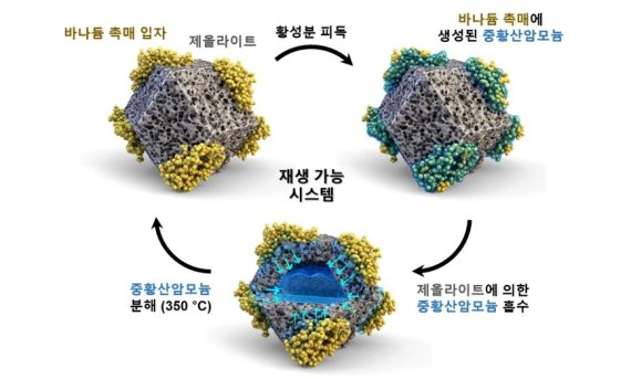 서울대 공대 화학생물공학과 김도희 교수팀이 제올라이트에 바나듐 촉매를 입혀 개발한 새 촉매시스템. 바나듐에 달라붙은 중황산암모늄이 제올라이트가 흡수하면서 바나듐이 촉매로 작용하는 시간이 늘어난다. 이 촉매 시스템은 350℃의 열처리로 재사용이 가능하다. 서울대 제공