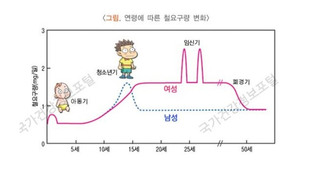 연령별 철분 요구량. (그림=질병관리청 국가건강정보포털 화면 캡쳐) *재판매 및 DB 금지