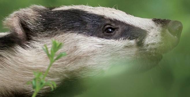 게티이미지뱅크 제공