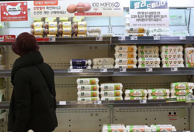서울 한 마트의 달걀 판매대 [연합]