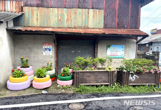 화사한 꽃밭으로 변신한 마을 모퉁이