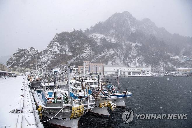 눈 내리는 울릉도 풍경 [연합뉴스 자료사진]