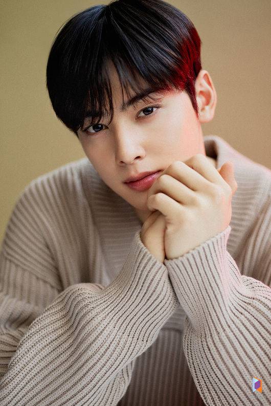 판타지오 제공