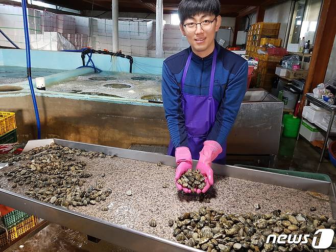 귀어 7년만에 연 매출 7억원을 올리고 있는 '고창에서 바지락 캐는 총각' 한승우 대표 © 뉴스1