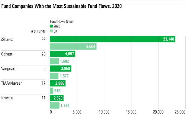 지난해 미국의 전체 지속가능 관련 펀드들에 유입된 투자 자금 중 각 펀드별 비중. 블랙록 i쉐어즈 상장지수펀드(ETF)에 절반 가까이 몰렸다. (출처=모닝스타 제공)