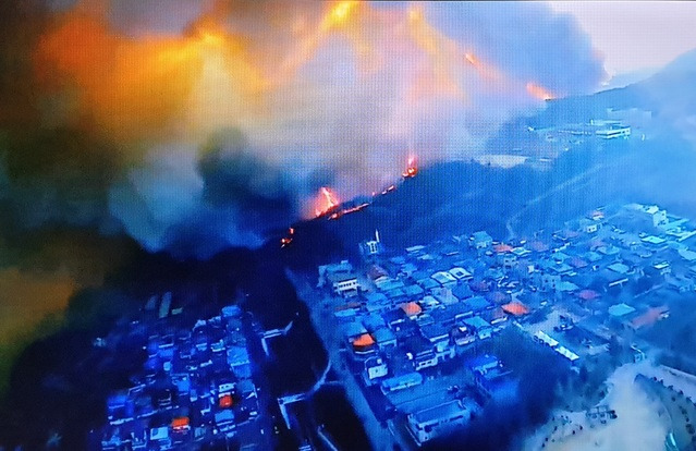 안동시 임동면 망천리 야산 산불 장면 (사진=산림청 제공) *재판매 및 DB 금지