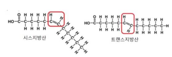 [그림3] 시스와 트랜스지방산. 지방산의 2중 결합에 붙어있는 수소의 방향에 따라 나눠지는 기하이성체의 명칭, 같은 쪽이 시스형, 반대쪽이 트랜스형. 자연계에는 시스형만 있고 트랜스형은 인위적으로 만들어진다.