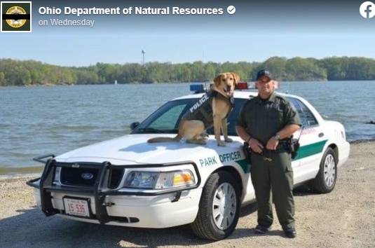 어린 소녀를 구하기 위한 임무 수행 중 순직한 미국 15년차 경찰관 라고어