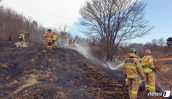 증평군 도안면 도당리 밭에서 발생한 불.(증평소방서 제공) © 뉴스1