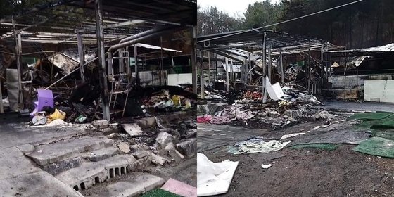 1일 배우 이용녀씨가 운영하는 경기도 포천의 유기견 보호소에 화재가 발생했다. 사진 인스타그램