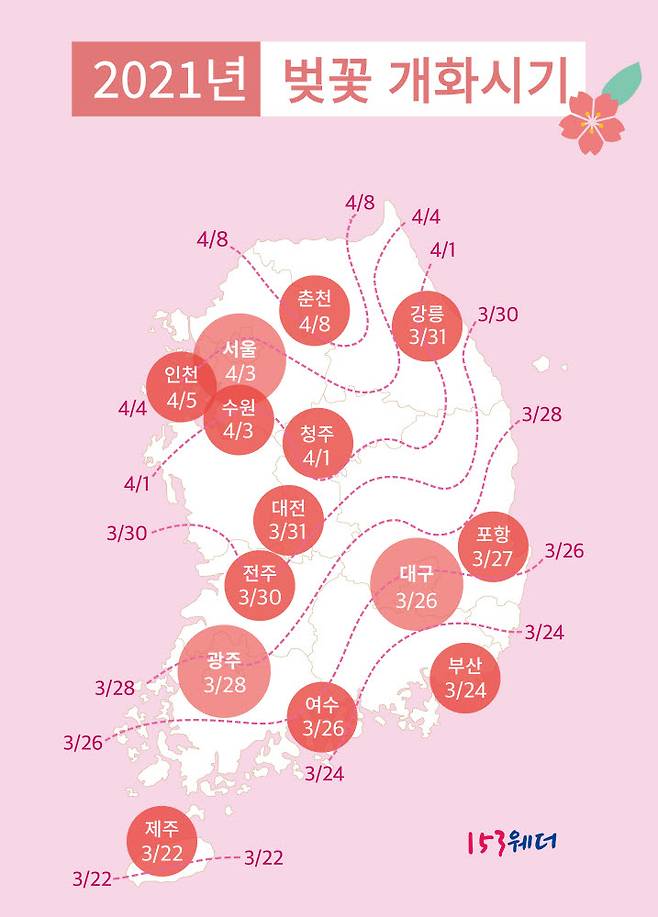 벚꽃 개화시기 그래픽.