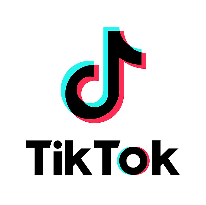 글로벌 숏폼 모바일 비디오 플랫폼 틱톡(TikTok)이 3일 2020년 하반기 투명성 보고서를 발표했다. /사진제공=틱톡