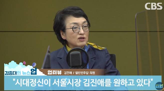 김진애 열린민주당 서울시장 후보 (사진=김종대의 뉴스업)