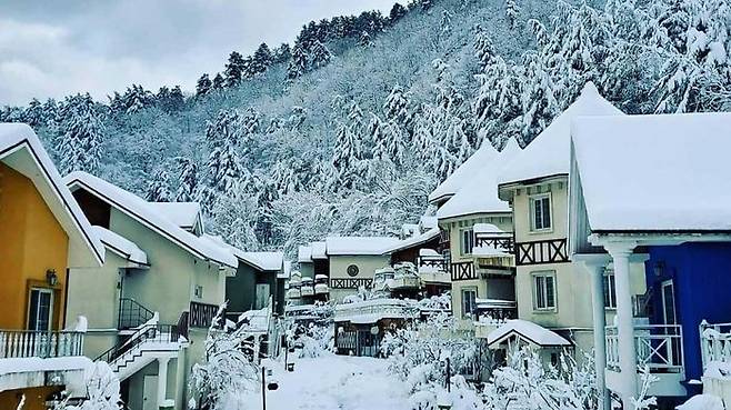 폭설에 설국으로 변한 강릉 펜션단지