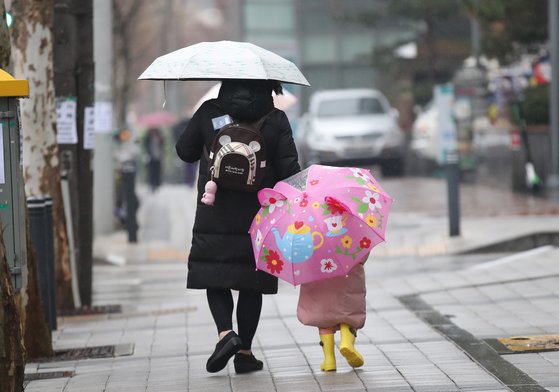 비가 내린 지난 1월 21일 오후 서울 마포구 상암동에서 한 어린아이가 토끼 귀모양한 우산에 노란 부츠까지 갖춰신고 어머니 뒤를 따라걷고 있다. 우상조 기자