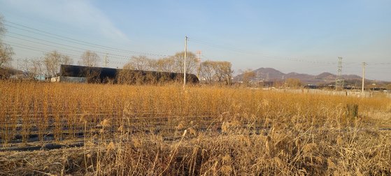 한국토지주택공사(LH) 직원들의 땅 투기 의혹이 제기된 경기도 시흥시 과림동 일대. 채혜선 기자