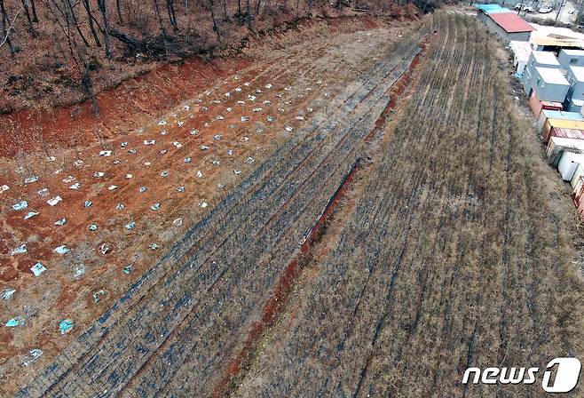 LH 직원들이 사들인 경기도 시흥시 무지내동 소재 농지 일대의 모습. 2021.3.4/뉴스1 © News1 구윤성 기자