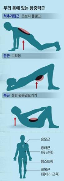 사진=조선일보 DB