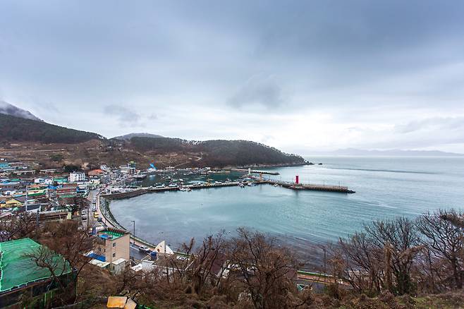 가덕도 공항 부지로 포함된 대항마을 전경./ 이신영 영상미디어 기자