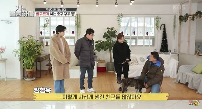 이런 말이 보는 이들에게 어떤 영향을 미칠줄 알고 하는 것인지./사진=KBS 개는 훌륭하다 화면 캡쳐