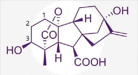 (그림1) GA1의 화학 구조식