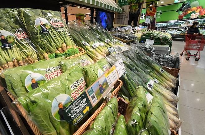 올해 1월 한국의 밥상물가 상승률이 경제협력개발기구(OECD) 가운데 4위를 기록한 것으로 집계된 가운데 8일 서울 시내 한 대형마트 채소 판매대 모습. 남정탁 기자