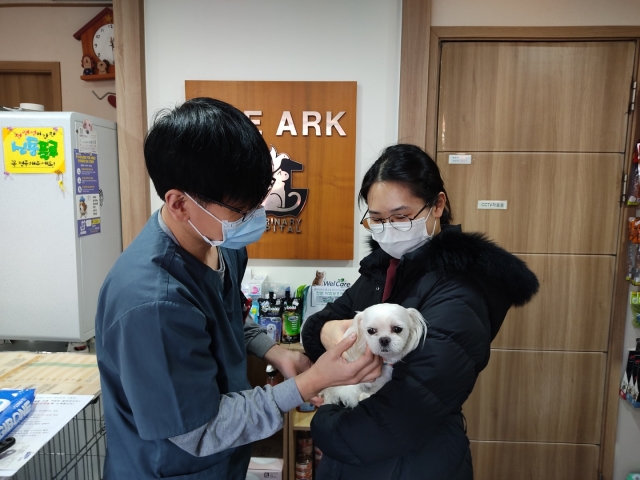 서울 동작구는 올해부터 유기동물 입양비를 최대 30만원 지원한다. 동작구 제공