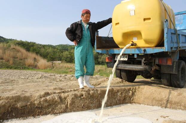 동일본 대지진으로 인한 후쿠시마 원전 사고 두 달 뒤인 2011년 5월 후쿠시마현 이타테무라에서 낙농업자인 하세가와 겐이치가 구덩이에 우유를 버리고 있다. 2011년 3월19일 이다테무라에서 생산된 우유에서 당시 정부 잠정 기준치인 1㎏당 300베크렐을 크게 초과한 방사성 요오드가 검출돼, 출하를 할 수 없게 됐다. 우유를 짜지 않으면 젖소가 유방염을 앓기 때문에 매일 우유를 짜서 내버리는 나날이었다. 사진 도요다 나오미 제공