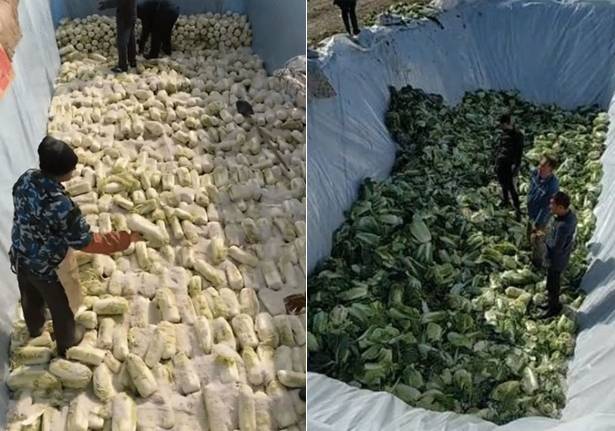 온라인커뮤니티