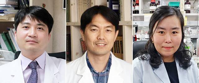 [광주=뉴시스] 왼쪽부터 동신대 한의과대학 김재홍·이숭인·양지혜 교수. (사진 제공 = 동신대학교) *재판매 및 DB 금지