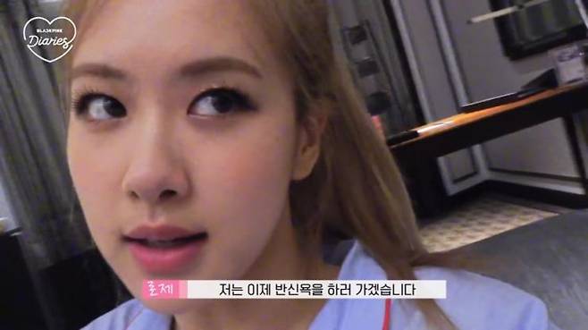 사진 〈블랙핑크 다이어리〉 캡처