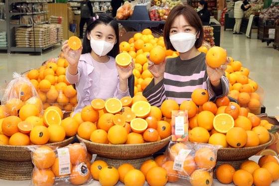 이마트는 미국산 오렌지 중 기존 운영했던 네이블 오렌지 외에 ‘켄아저씨 오렌지’, ‘카라카라 오렌지’, ‘퓨어스펙 오렌지’, ‘Halo(헤일로) 만다린’ 등을 처음으로 11일부터 일주일간 판매한다. 사진 이마트