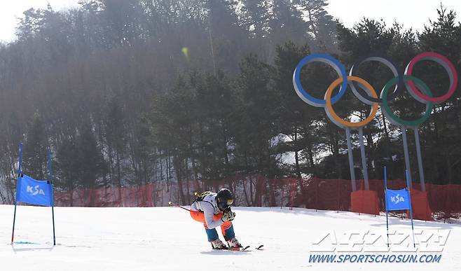 14일 강원도 용평리조트에서 '제36회 전국스키기술선수권대회' 결승전이 열렸다. 게이트 종목에 나선 참가자들. 평창=송정헌 기자 songs@sportschosun.com/2021.03.14/